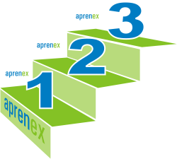 3 Niveles de  Retos - aprenex
