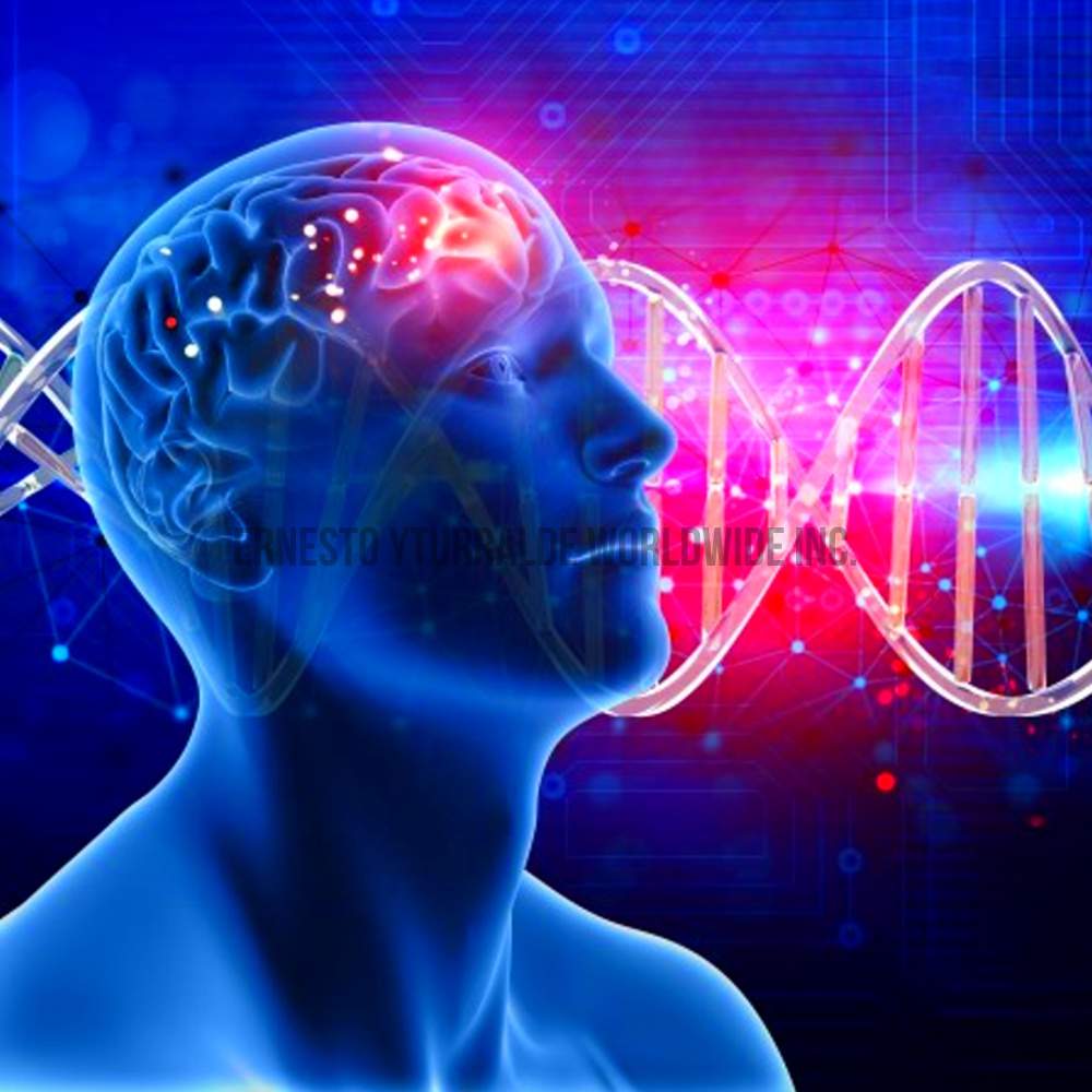 Aprendizaje Experiencial - Neurociencias